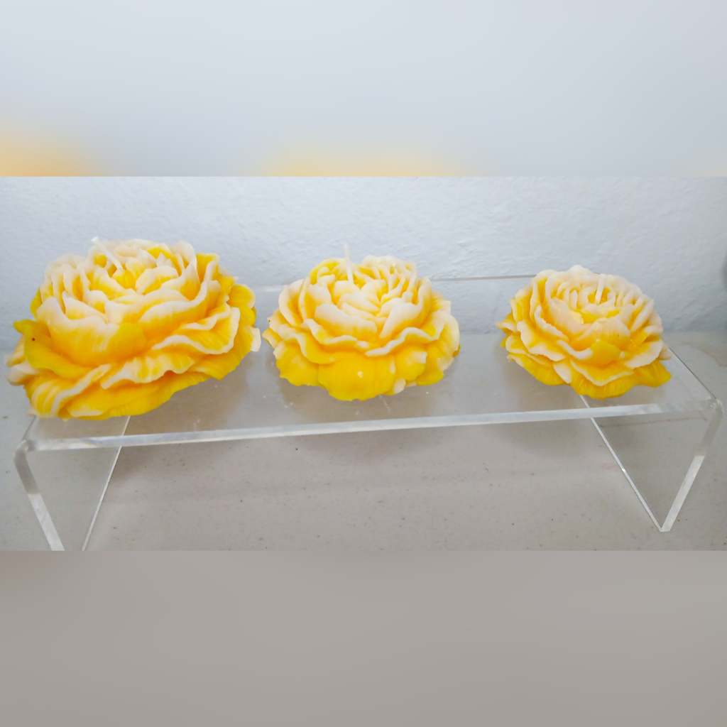 Colección 3 Rosas-  Fragancia Orquídea-Amarillo