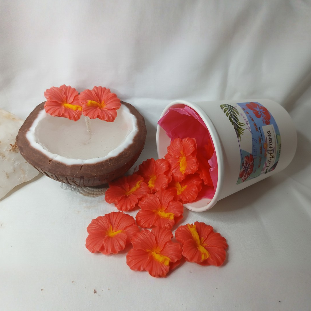 Duo Coco Tropical + Wax Melt Flor de Maga | Luz & Aroma