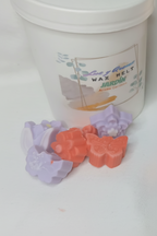 Wax Melt Jardín